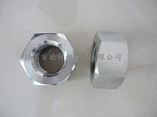 蒙乃爾Monel K500螺母